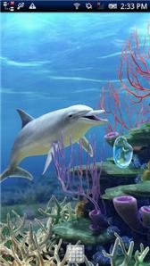game pic for Dolphin CoralReef Free